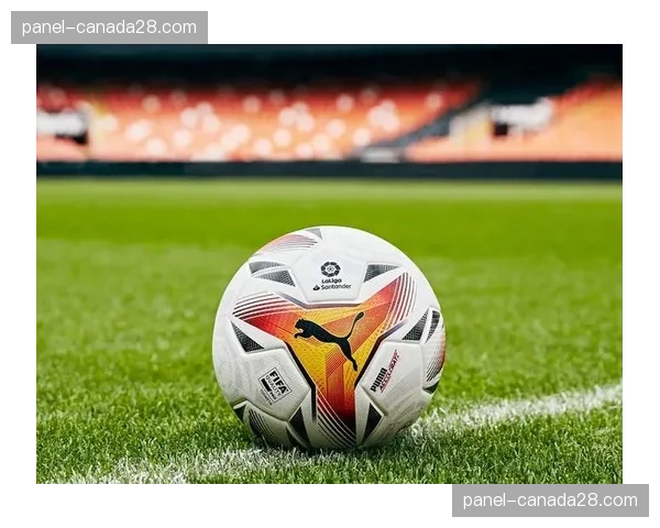 西甲联盟讨论修改比赛用球，下赛季或将采用环保材料制作的新球